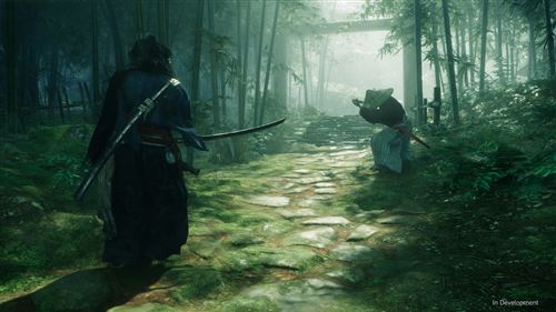 Rise of the Ronin™ - PS5